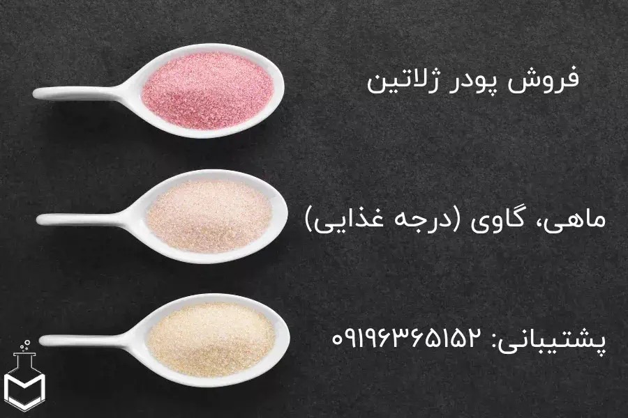 فروش انواع ژلاتین (گاوی ماهی)