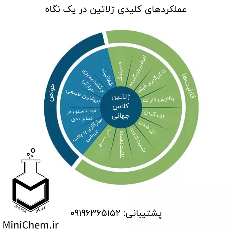 عملکردهای کلیدی ژلاتین