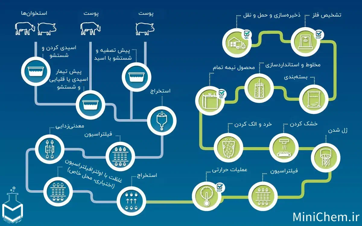 فرآیند تولید ژلاتین